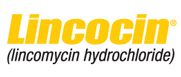 Lincocin (Generic)