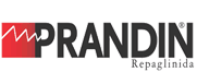 Prandin (Generic)